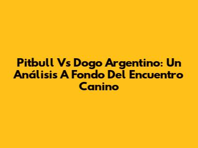 Pitbull Vs Dogo Argentino: Un Análisis A Fondo Del Encuentro Canino